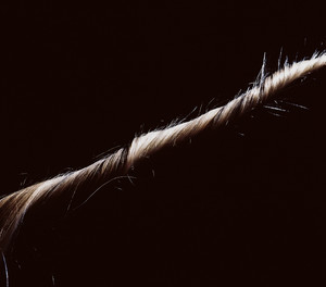 Valencia, California 2008